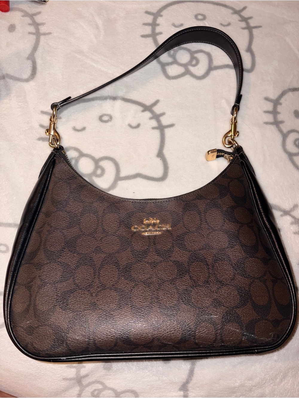 Coach Teri Hobo Signature Cavas